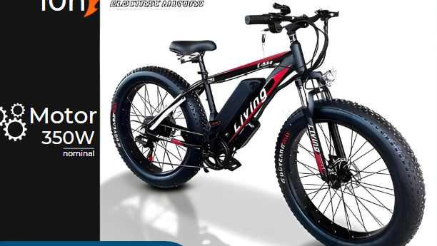 e-bike-living-sport-big-2