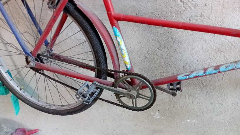 bicicleta-de-carga-big-0