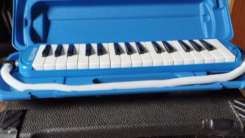 vendo-kit-de-instrumentos-de-sopro-e-caixa-de-som-instrumentos-de-sopro-todos-novos-big-1