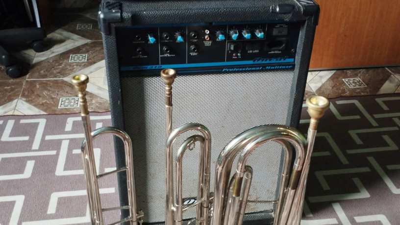 vendo-kit-de-instrumentos-de-sopro-e-caixa-de-som-instrumentos-de-sopro-todos-novos-big-3