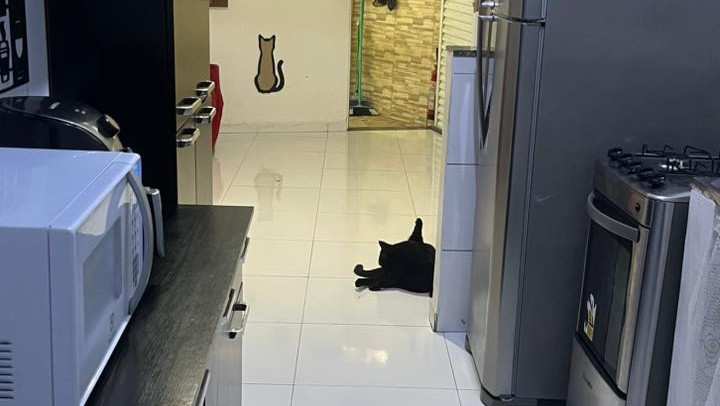 3-maravilhosas-casas-com-terraco-e-varandas-big-2