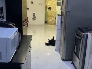 Excelente Prédio com 3 casas com 2 varandas,terraço e uma delas com a mobília da cozinha.