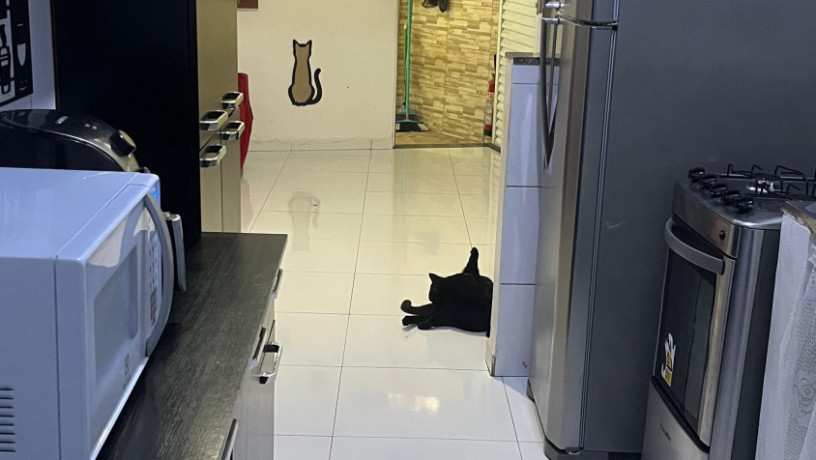 excelente-predio-com-3-casas-com-2-varandasterraco-e-uma-delas-com-a-mobilia-da-cozinha-big-0